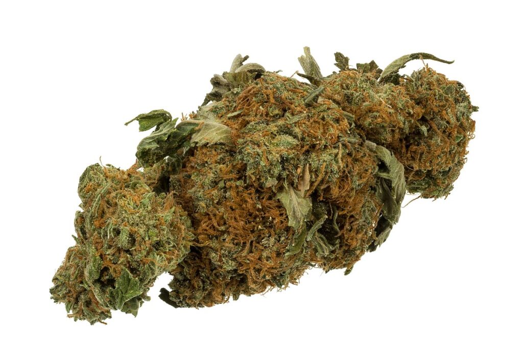 Build Authority Through Smart Link-Building for Cannabis Dispensary Websites