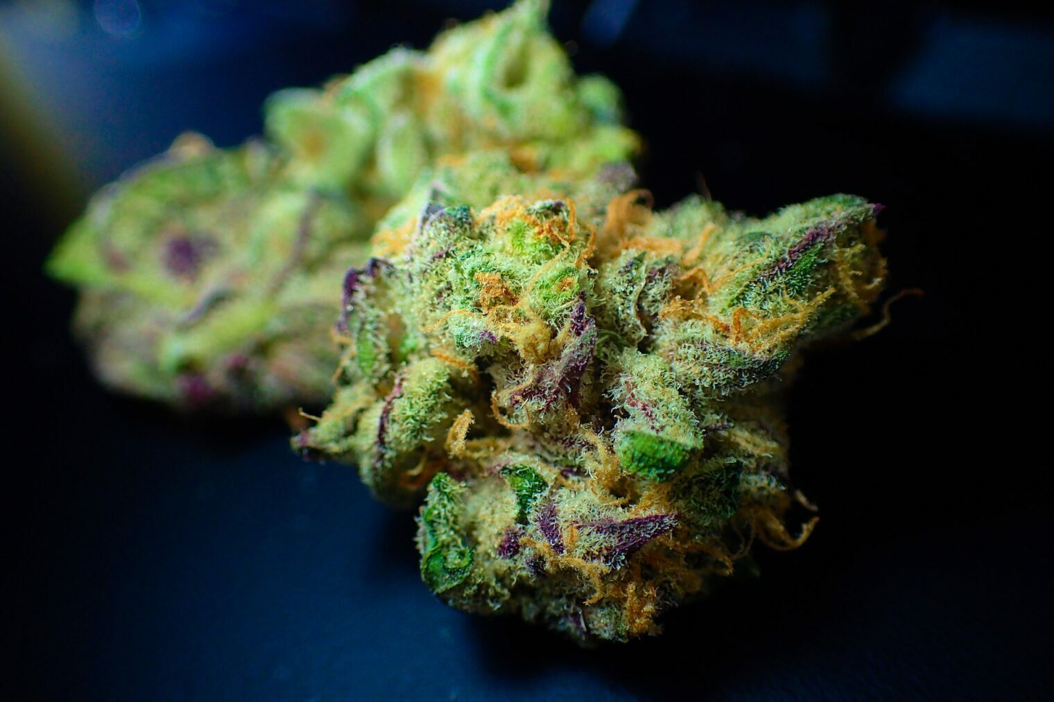 Build Authority Through Smart Link-Building for Cannabis Dispensary Websites